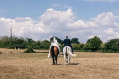 bride and groom on the top of horses