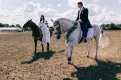 horses-wedding-18