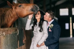 horses-wedding-27
