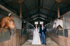 horses-wedding-28