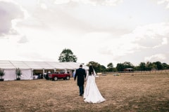horses-wedding-32
