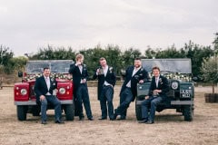 horses-wedding-33