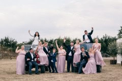 horses-wedding-34