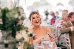 horses-wedding-39