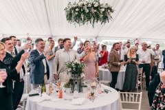 horses-wedding-45