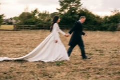 horses-wedding-46