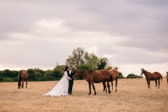 horses-wedding-50