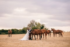 bride and groom with horses in Cotswolds