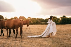 horses-wedding-55
