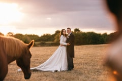 horses-wedding-56