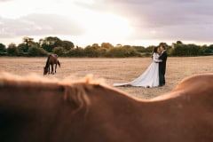 horses-wedding-57