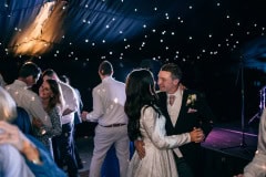 horses-wedding-63