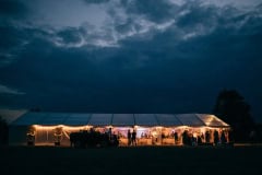 horses-wedding-67